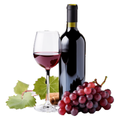 VINO
